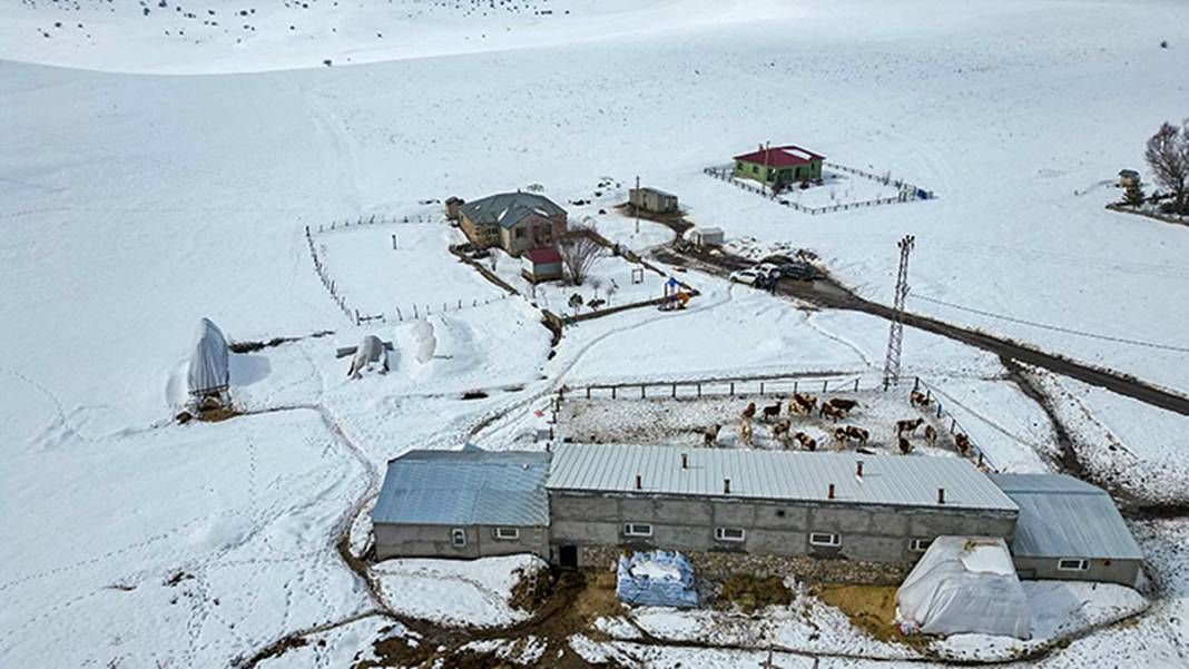 İstanbul'daki işini bıraktı, tek kuruş devlet desteği almadan Erzurum'da dev tesis kurdu 11